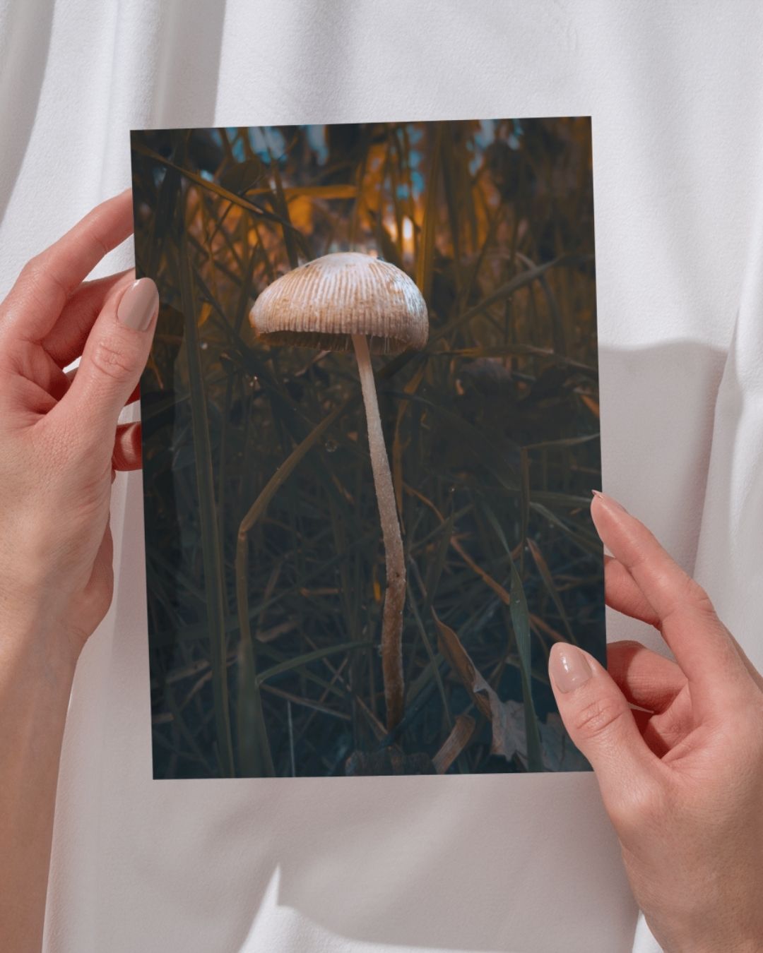 Standing Still – Mushroom Art Print | Forest Floor Collection