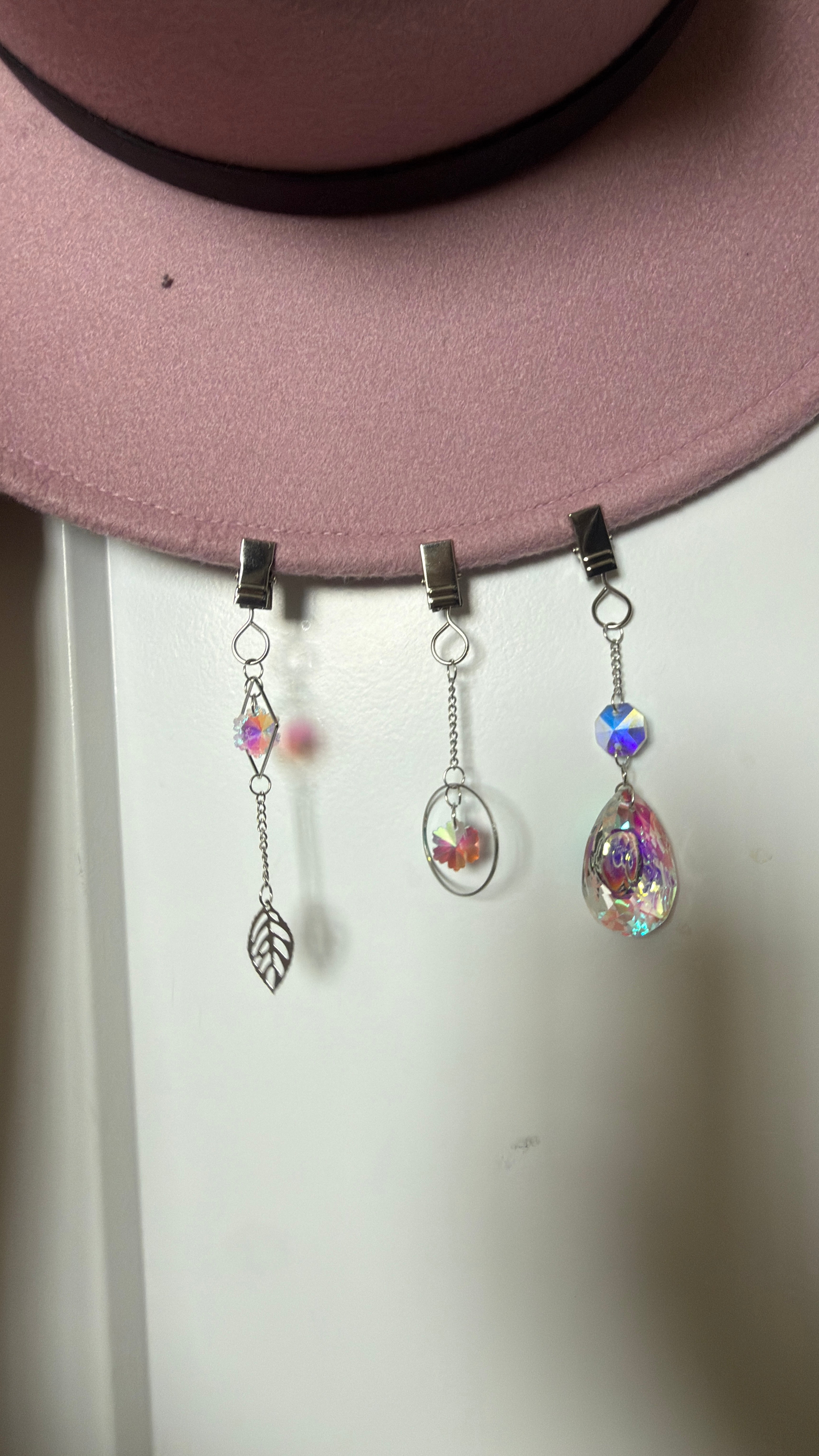 Plant lover - Silver Sun Catcher Hat Clip Set — Limited Run (Pack of 3)